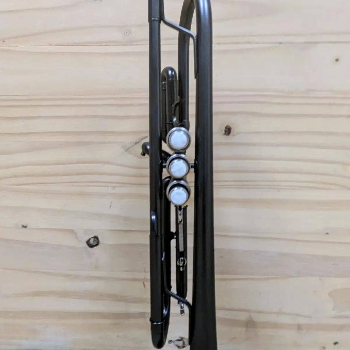 Trompette Genuine